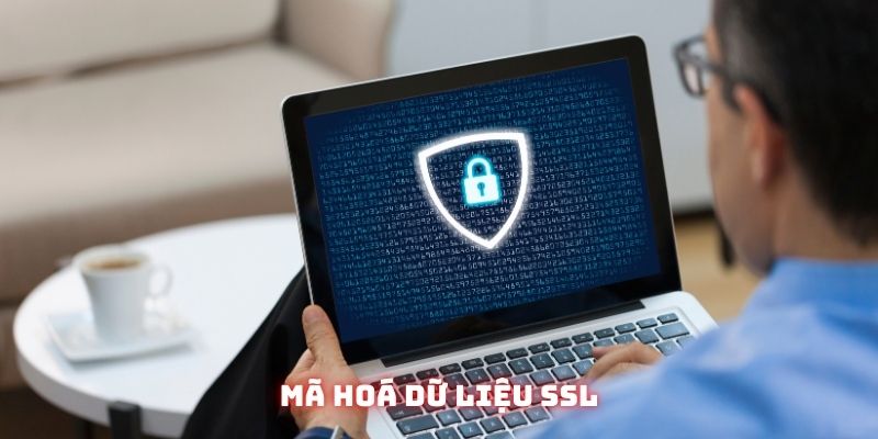Hệ thống SSL được áp dụng nhằm đảm bảo thông tin của từng thành viên