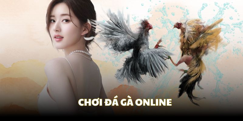 Chơi đá gà online | Good88 hé lộ những điểm khác biệt thú vị 2 choi da ga online dai dien
