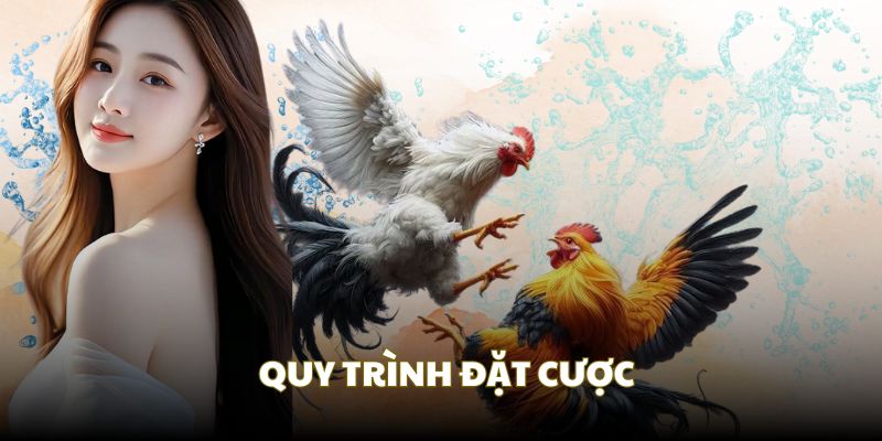 Quy trình cá cược tại sân cược online