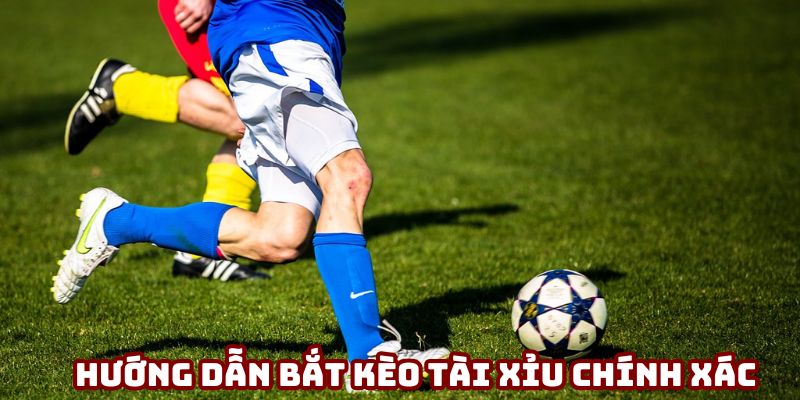 Hướng dẫn người chơi bắt kèo tài xỉu chính xác